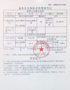 养老保险证明，您的未来安全网