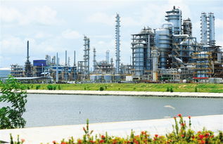 海南省地方税务局，税收的桥梁，服务的窗口