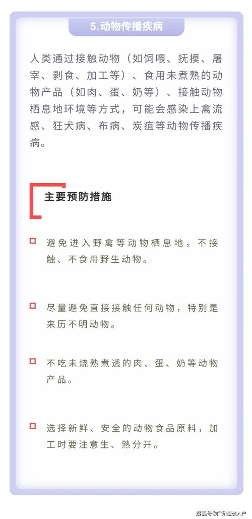 五一法定节假日，了解假期安排，享受美好时光