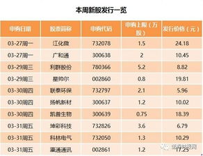 新手指南，申购新股的详细流程与实用技巧