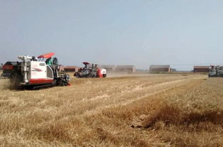 农机补贴政策，助力农业现代化的引擎