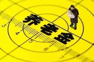 北京社会保险全解析，政策、福利与未来趋势