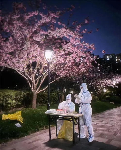 新疆疫情新动态，无症状感染者数量增加，如何有效应对？