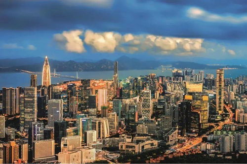 深圳市贸工局，推动经济发展的引擎