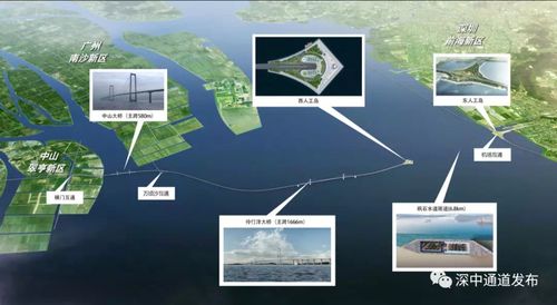 深圳市贸工局，推动经济发展的引擎