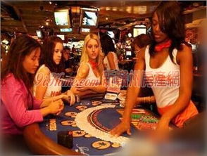 拉斯维加斯，爱情与冒险的梦幻之地