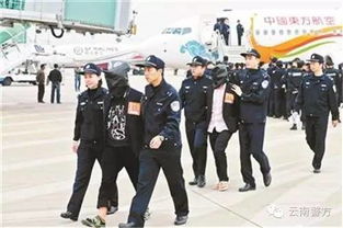 玉环国际帮，揭秘跨国犯罪网络的暗流涌动