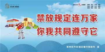 逆境中的希望之光，残疾人创业项目的力量与启示