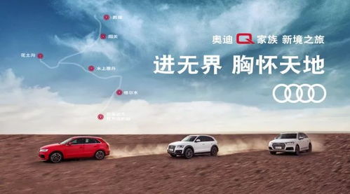 开启自由之门，残疾人驾车的指南与启示