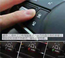 一窥究竟，输入车牌号，解锁车辆信息的秘密