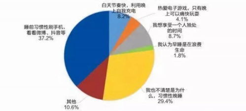 深入解析，工作性质的多维解读与职业发展