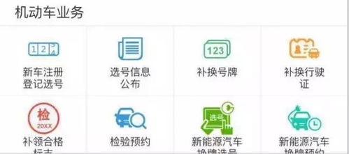 轻松驾驶12123免扣6分政策，你的交通违规救星来了！