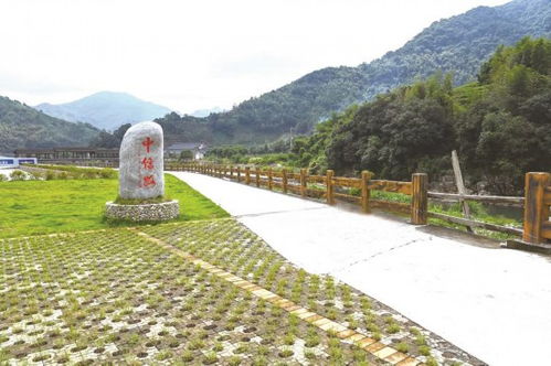 宁德市人民政府，地方治理的典范与市民生活的桥梁