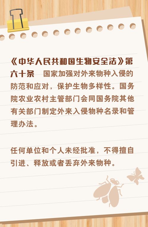 如何正确识别和报告危害国家安全的行为