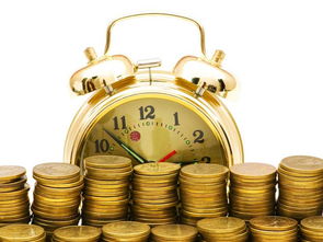 货币基金，风险与机遇的平衡艺术