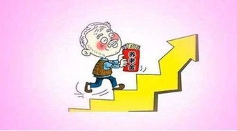 2017年养老金上调，详解政策、影响及未来展望
