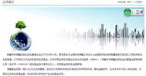 揭开投资的神秘面纱，探索投资的可靠性与智慧