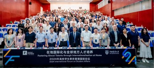 全球治理的新篇章，深入解析联合国安理会改革