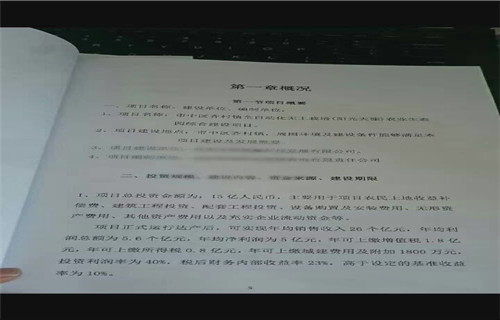 深入解析，工程审计报告的编制、要点与实际应用