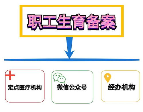为您的未来保驾护航，城镇职工养老保险缴费标准全解析