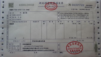 如何辨别国税发票真伪，实用指南与技巧