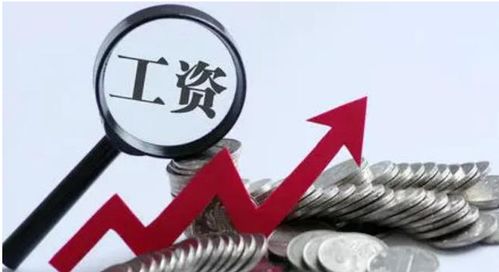 自主择业与薪资增长，如何实现职业与收入的双赢