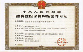 融资担保公司监督管理条例，保障金融安全与促进经济发展的基石