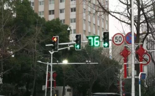 广州限购令，城市发展的红绿灯