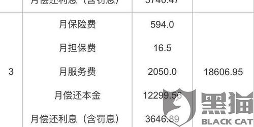 揭秘，平安普惠提前还款全攻略，节省利息不是梦！