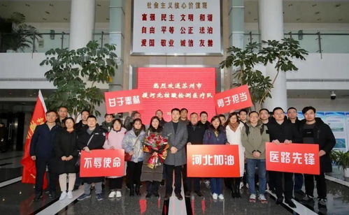 河北战疫，最新动态与我们的共同行动