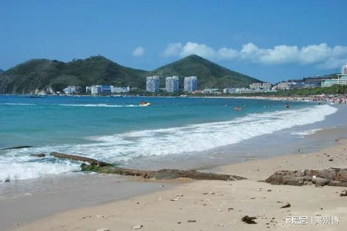 海南省人事劳动厅，海南岛的人才之舟