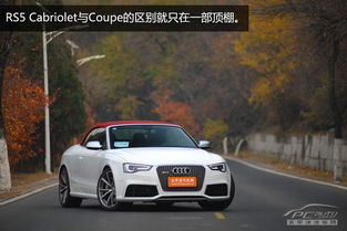 速度与激情，奥迪跑车的传奇故事与未来展望