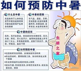 应对假酒危机，识别、预防与紧急处理指南