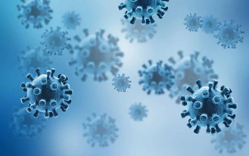 福州疫情最新动态，防控措施、病例数据与市民生活影响深度解析