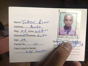 揭开原产地证明的神秘面纱，从超市到全球贸易的通行证