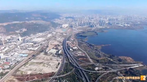 温州运管网，城市交通的智能脉络