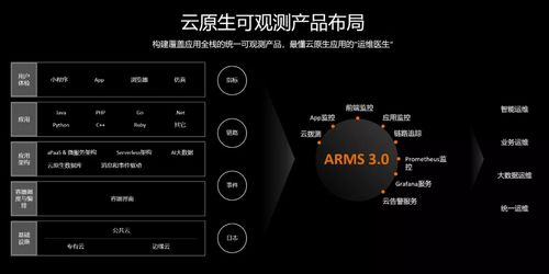 温州运管网，城市交通的智能脉络