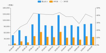 探索财富的秘密，平均净资产的魔力与启示