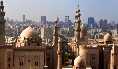 无感染区，探索全球最后一片净土的神秘面纱