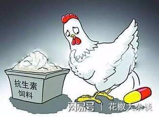 2014年食品安全事件回顾，警钟长鸣，食品安全不容忽视