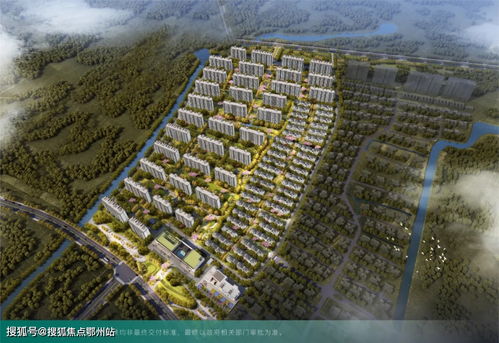 石家庄二亩地，城市绿洲的奇迹