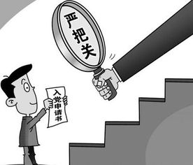 深入理解预备党员与正式党员的义务，共同的责任与不同的阶段