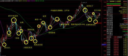 微信领牛股，解锁财富增长的智能钥匙
