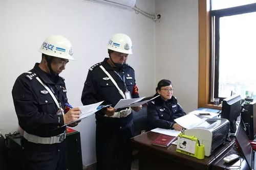 深入了解省十里丰监狱，安全、教育与改造的融合之道