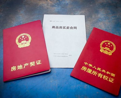 房屋所有权证号，房产交易中的关键密码