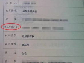 房屋所有权证号，房产交易中的关键密码