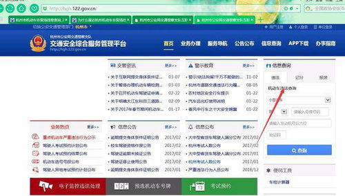 杭州机动车违章查询指南，如何快速、准确地掌握违章信息