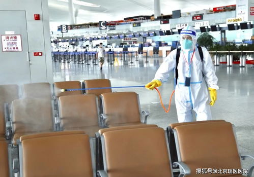 浦东机场疫情，防控挑战与应对策略