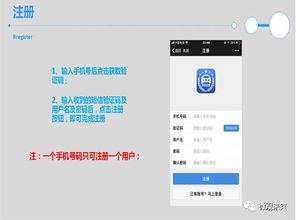全面指南，如何轻松查询车辆违章信息