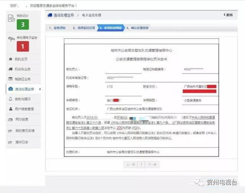 全面指南，如何轻松查询车辆违章信息